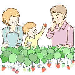 いちご狩りをする家族