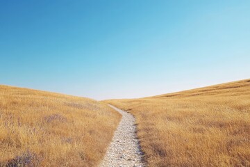 Fototapeta premium Winding path through golden fields under blue sky