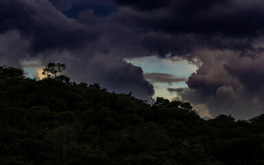 Landscape with dark storm clouds framing a stretch of blue sky over tropical forest with two trees highlighted above the vegetation line number 1