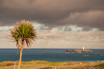 Obraz premium A palm tree and a lighthouse on an island with a dramatic sky 