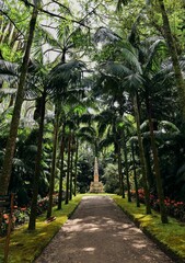 Obraz premium Pathway with palm trees in a tropical garden.