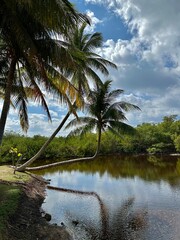 Caribbean Paradise: Cozumel & Grand Cayman 