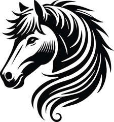 black and white horse