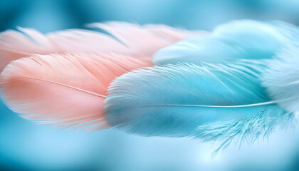 Naklejka premium Delicate pastel pink and blue feathers, soft focus, close-up macro shot, ethereal, dreamy, elegant, tranquil background.