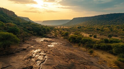 Fototapeta premium A dry riverbed with visible cracks and scattered rocks during the dry season.