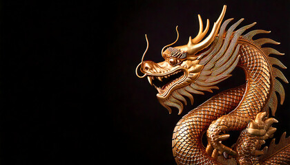 Fototapeta premium Chinese dragon on a black background, ancient asian dragon on black background