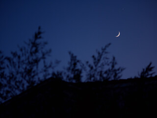The moon in the twilight sky. Tree branches sway in the foreground. Pula, Croatia - January 3, 2025