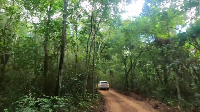 Time lapse dirigindo por estrada rural na cidade de Alto Paraiso de Goi&aacute;s, regi&atilde;o da Chapada dos Veadeiros, Estado de Goi&aacute;s, Brasil