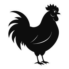 chicken, rooster isolated on white