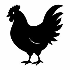 chicken, rooster isolated on white