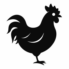 chicken, rooster isolated on white