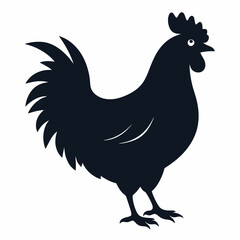 chicken, rooster isolated on white