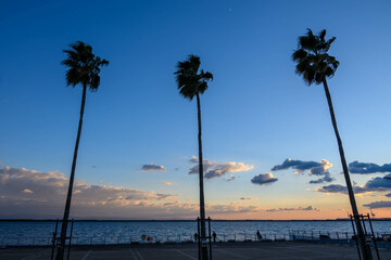 夕暮れ時、神戸の六甲アイランド、マリンパークから大阪湾の海辺の景色