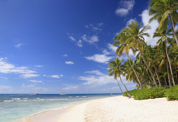 Beautiful beach on Saona Island with white sand and blue sky on the background, Dominican Republic