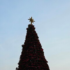 NAVIDAD