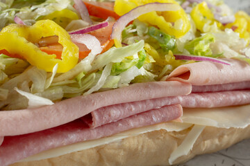 A closeup view of stacked ingredients in an Italian sandwich.