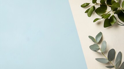 Blue and Beige Background with Green Eucalyptus Leaves