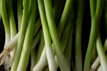 A top down view of a layer of scallions, as a background.