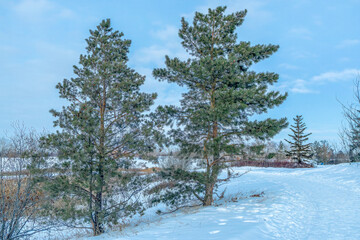 Wildwood park in Saskatoon on a cold winter day