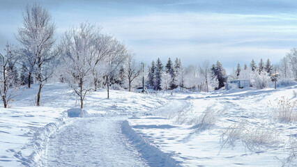 Wildwood park in Saskatoon on a cold winter day