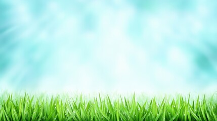 Fototapeta premium Fresh Green Grass Against a Bright Blue Sky Nature Background Peaceful Environment Outdoor Scene Tranquility Concept