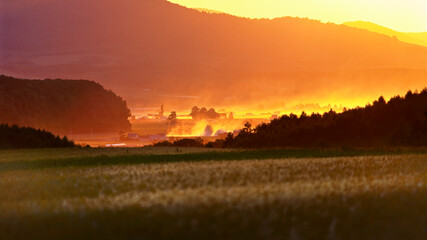 朝霧に浮かぶ（旭川市西神楽）