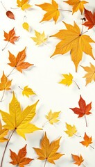 Fototapeta premium dry yellow birch leaves scattered on white background, autumn foliage photography, landscape