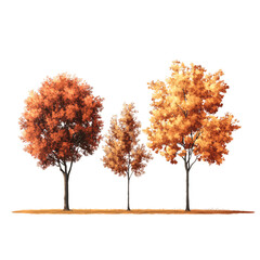 Fototapeta premium Autumn tree isolated on transparent background