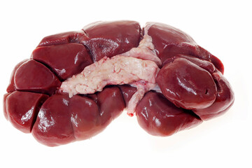 Cow kidneys on a white background