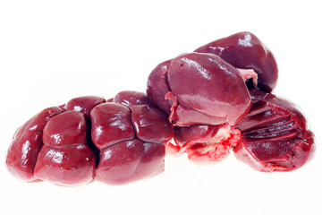 Cow kidneys on a white background