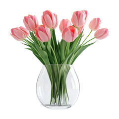 Pink tulip bouquet in a clear glass vase isolated on white or transparent PNG © boxstock production