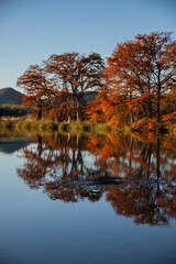 Playing with Reflections