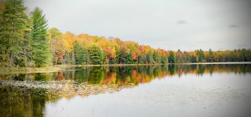 Obraz premium landscape with lake