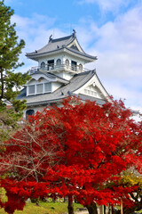 長浜城・紅葉（滋賀県・長浜市）