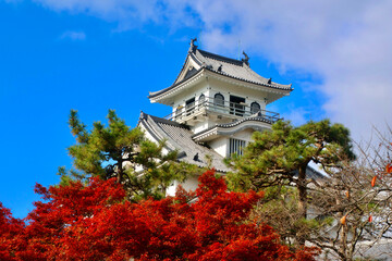 長浜城・紅葉（滋賀県・長浜市）