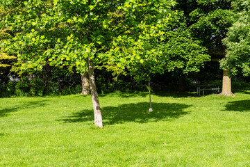 Footpath in the green city park in Toronto Ontario - Green meadow with trees to relax