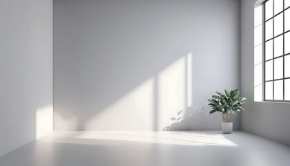 Minimalist Room Interior Design Featuring Sunlight and Plant