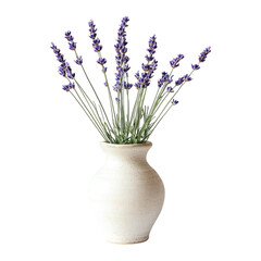 Lavender bouquet in a rustic ceramic vase isolated on white or transparent PNG
