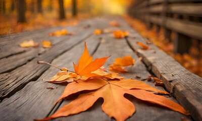 Obraz premium Nature seasons wallpaper background