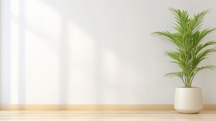 Minimalist room design with green potted plant on hardwood floor