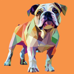 Colorful Low Poly Bull Dog Vector illustration