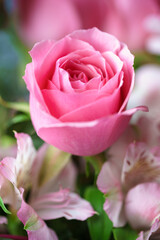 薔薇の花の接写