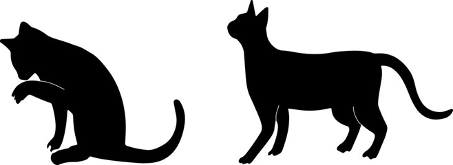 cat vector illustration isolated on background