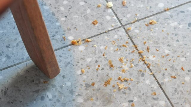 Bread crumbs on tile floor