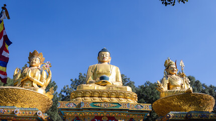 The Golden Buddha Statues in Buddha Park, Swayambhunath area, Kathmandu, Nepal, the World Heritage Site declared by UNESCO