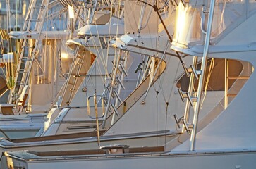 boats in the harbor