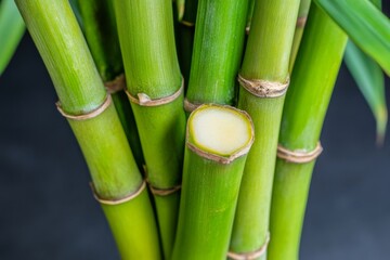 Obraz premium Healthy green bamboo stalks arranged artistically on a dark background enhance natural decor in a modern living space