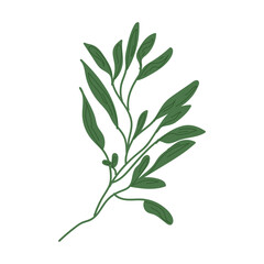 set of hand drawn green leaves vector art.