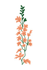 hand drawn delicate flowers, orange flower arrangement vector drawing EPS 10