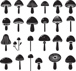 Mushroom Illustrations and Vector Art for Designers